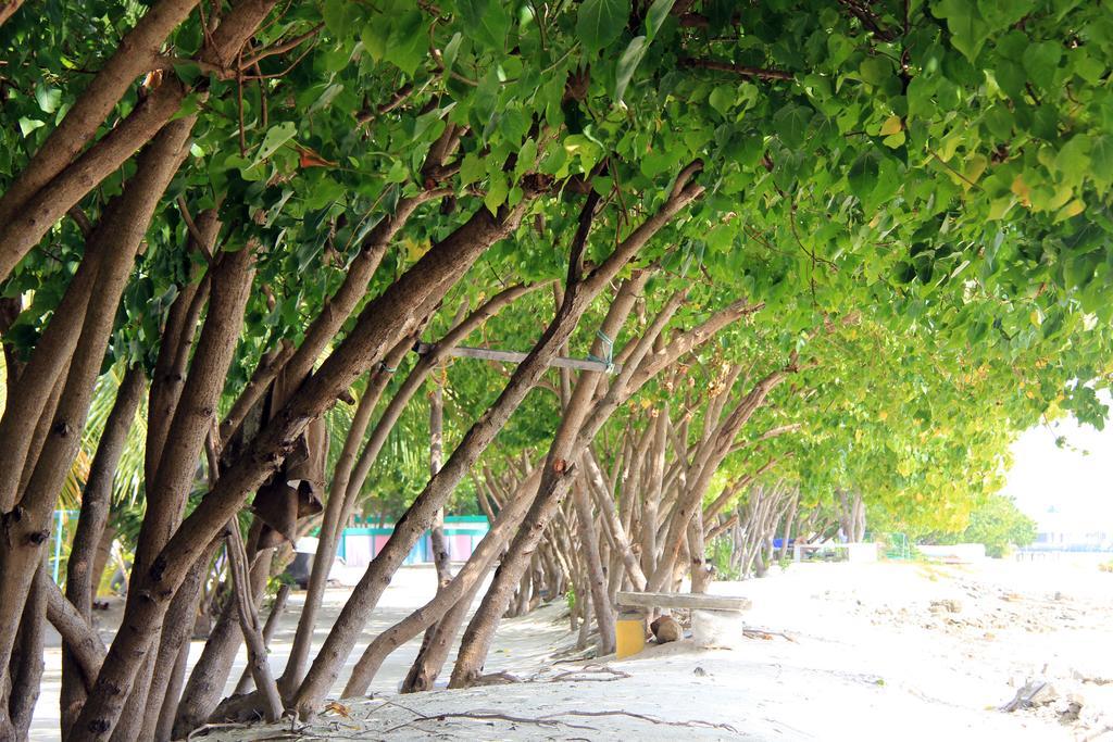 Rip Tide Vacation Inn, K.Guraidhoo กุราอิธู ภายนอก รูปภาพ
