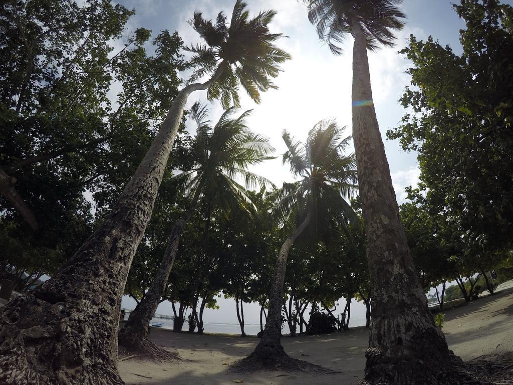 Rip Tide Vacation Inn, K.Guraidhoo กุราอิธู ภายนอก รูปภาพ