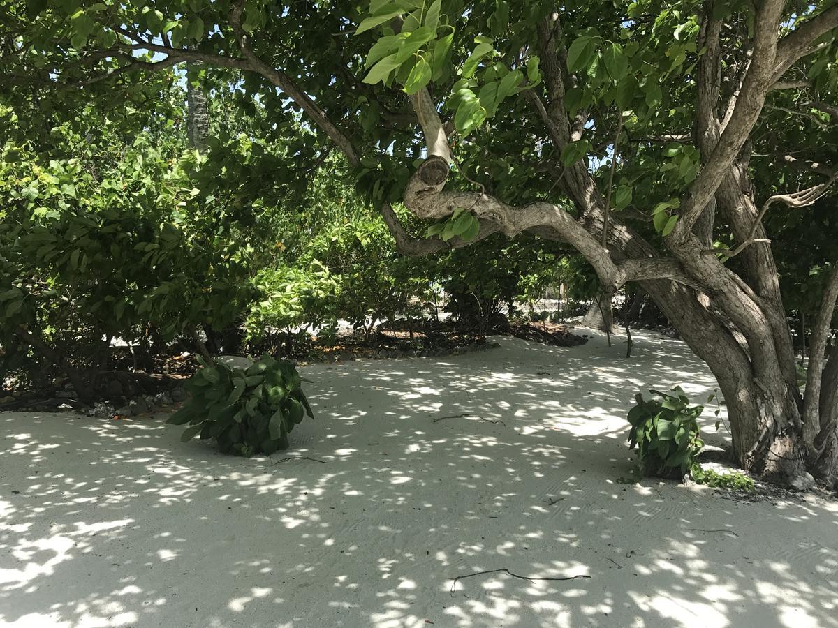 Rip Tide Vacation Inn, K.Guraidhoo กุราอิธู ภายนอก รูปภาพ